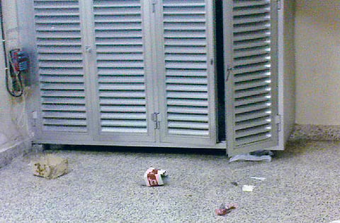 Mathew Litty, Gulf News reader