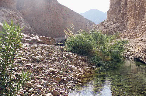 By Karen Dias, Xpress/Gulf News