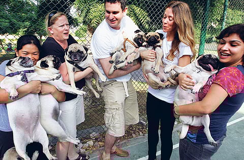 Xpress / Pankaj Sharma