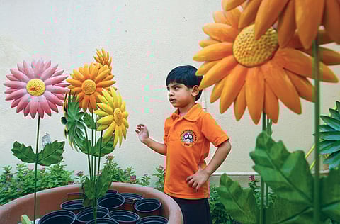 Xpress /FRANCOIS NEL