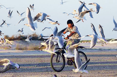 Francois Nel/Gulf News