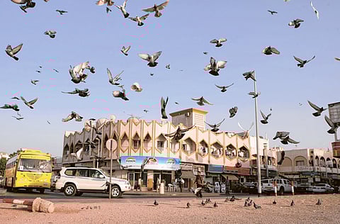 Megan Hirons Mahon/Gulf News