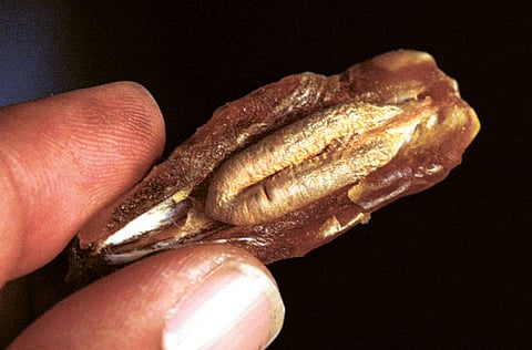 Arshad Ali/Gulf News