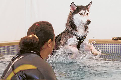 Oliver Clarke/Gulf News