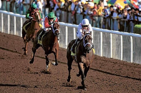 Megan Hirons Mahon/Gulf News