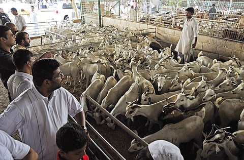 Over 31,000 tonnes of waste from sacrificial animals has been lifted from various areas of Karachi during the Eid Al Adha holidays.