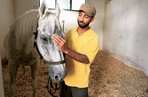 Megan Hirons Mahon/Gulf News