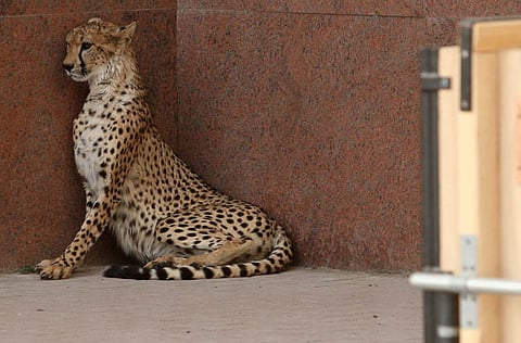 Atiq-Ur-Rehman/Gulf News