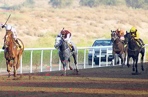 Oliver Clarke,Gulf News