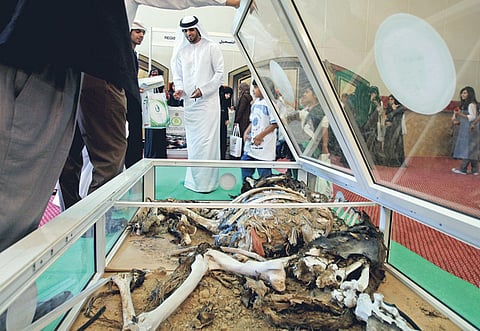 Francois Nel/Gulf News