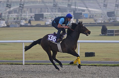 Oliver Clarke/Gulf News