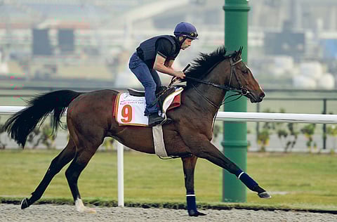 ANDREW WATKINS/DUBAI RACING CLUB