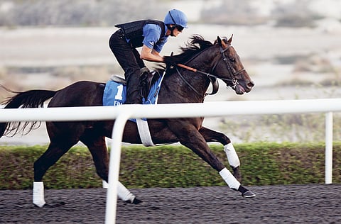 VIRENDRA SAKLANI/Xpress