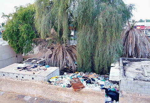 Viju Philip/Gulf News Reader