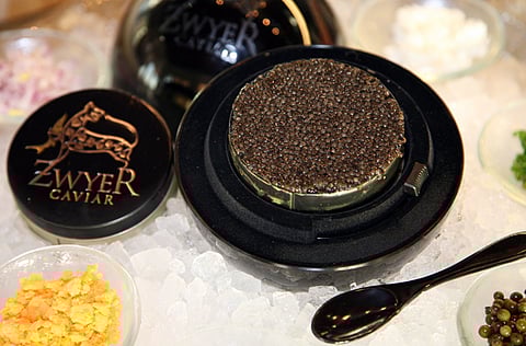 K.K. Ayub, Gulf News