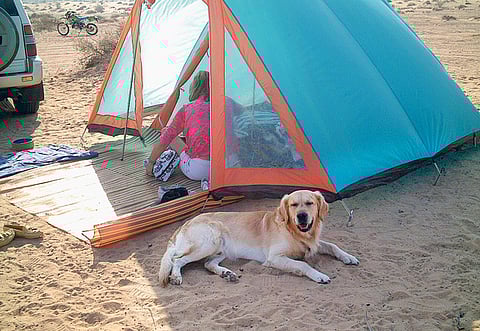 Maria van Dooren/Gulf News Reader