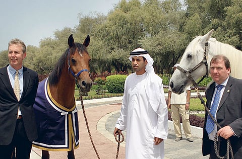 RAVINDRANATH /Gulf News