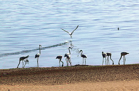 Abdul Rahman/Gulf News