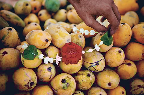 Pakistani mangoes are globally sought after for their unique taste.