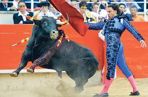 A Spanish bullfight. For illustrative purposes only.