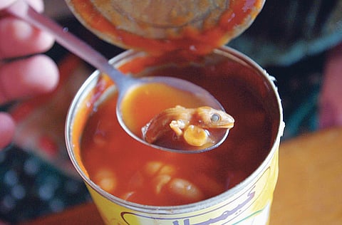 Sandeep Sequeira/Gulf News Reader