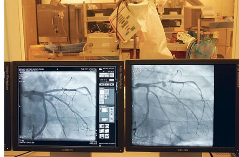 Zarina Fernandes, Gulf News