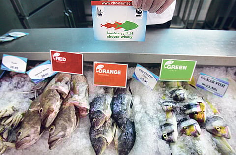 Zarina Fernandes/XPRESS