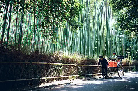 It's time we got serious about sustainable practices rather than just engage in these catchphrases.