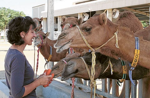 Arno Maierubrugger/Gulf News