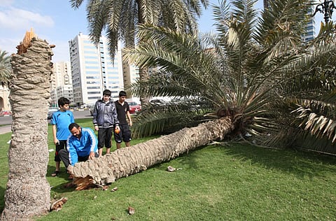 Atiq-ur-Rahman/Gulf News