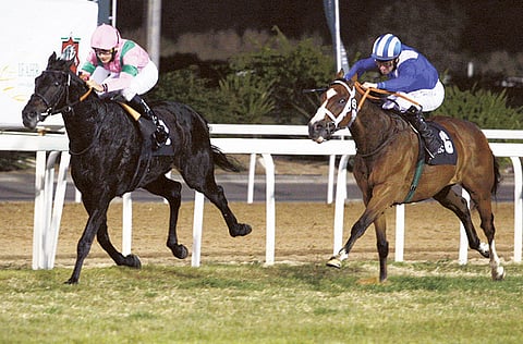 Ahmed Kutty/Gulf News