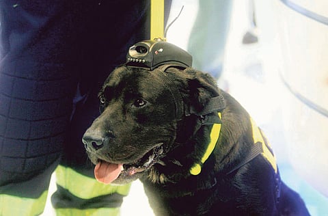 Zarina Fernandes/Gulf News