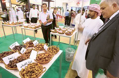 Abdel-Krim Kallouche/Gulf News