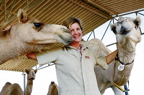 AHMED RAMZAN/Gulf News