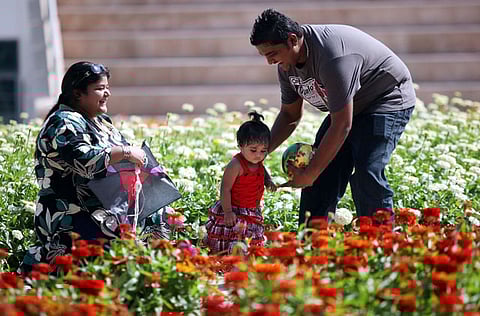 Francois Nel/Gulf News