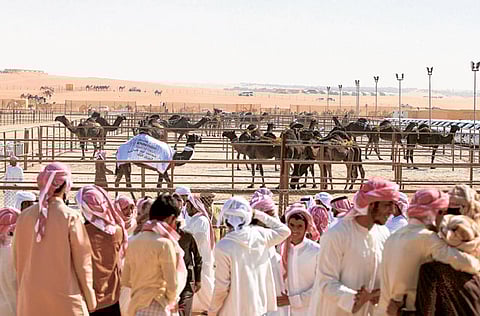 Francois Nel/Gulf News