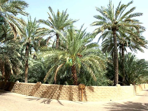 Abdul Rahman/Gulf News