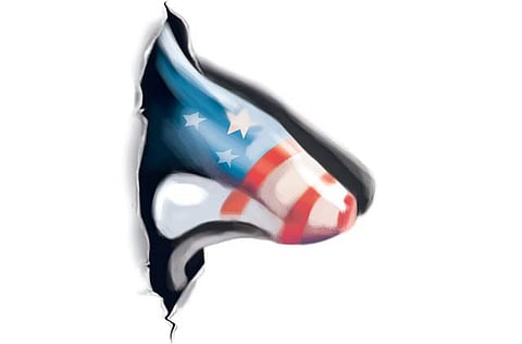 Illustration: Dana A. shams/©Gulf News