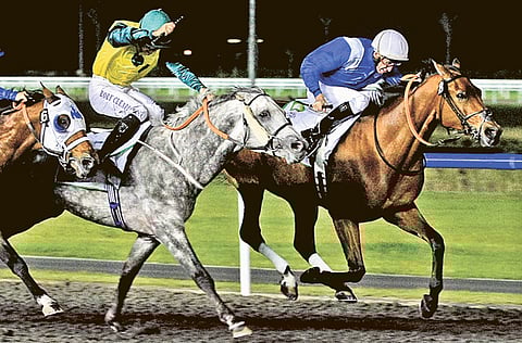 Megan Hirons Mahon/Gulf News