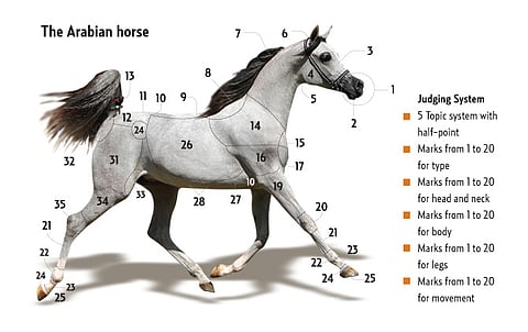 Source: DIAHC; Gulf News