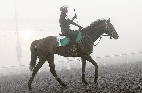 Virendra Saklani/Gulf News