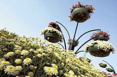 Abdel-Krim Kallouche/Gulf News