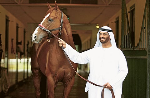 Francois Nel /Gulf News