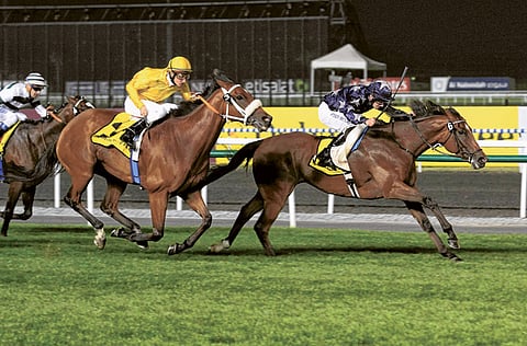 MEGAN HIRONS MAHON/Gulf News