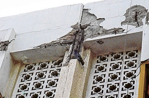 Gulf News reader Rebecca Pereira.