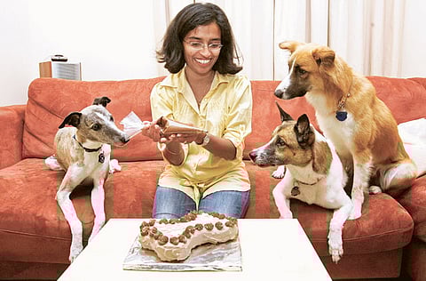 © XPRESS / Karen Dias