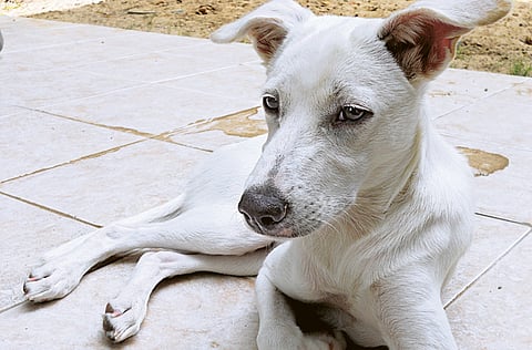 Photo for illustrative purpose.