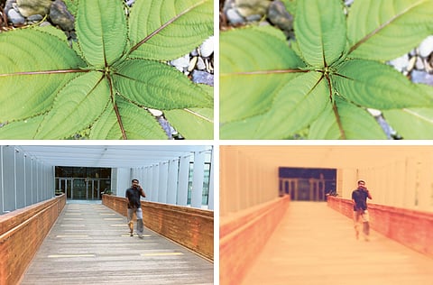 Oliver Clarke/Gulf News