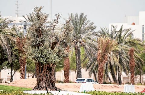 Abdel-Krim Kallouche/Gulf News