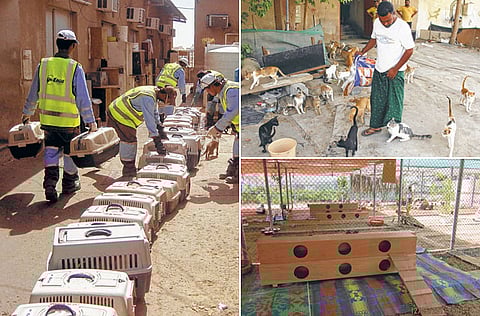 By Montserrat Martin/Gulf News Reader